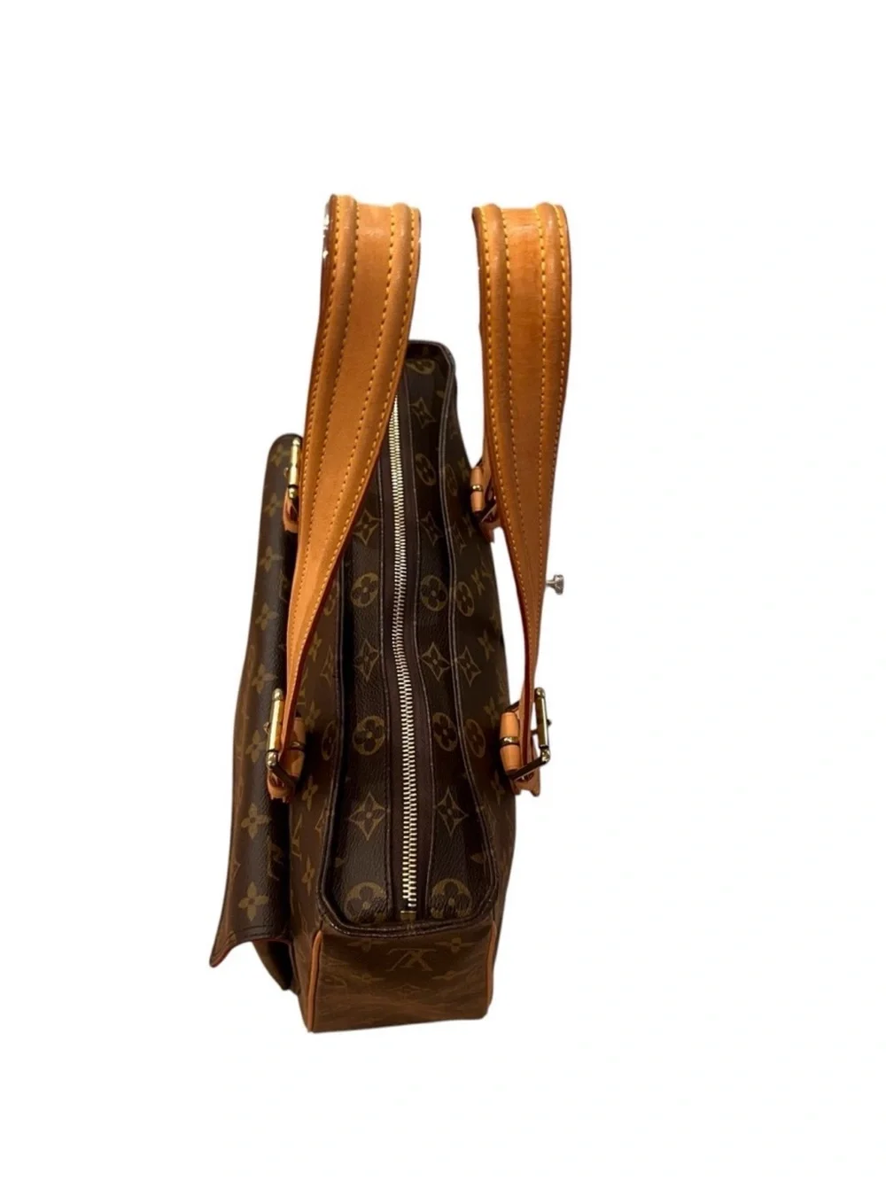 Louis Vuitton Monogram Multipli-Cite Tote